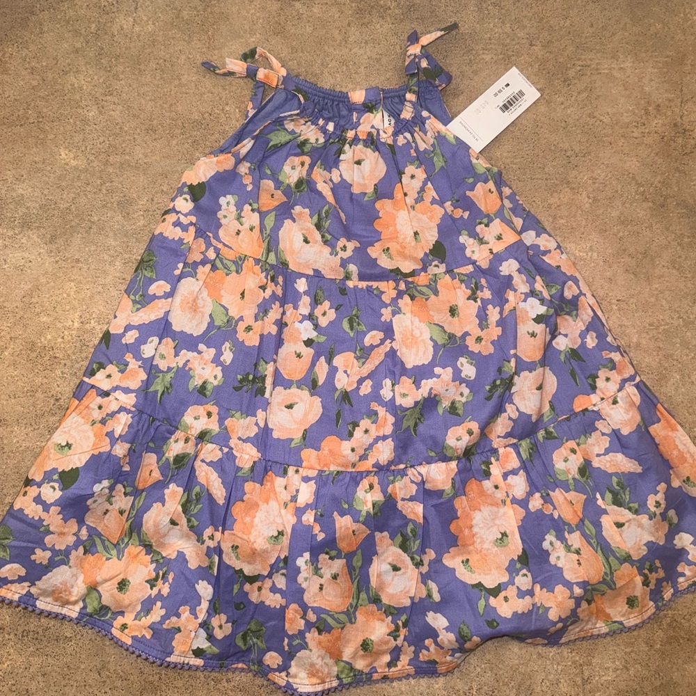 Janie And Jack The Wanderer Floral Sundress